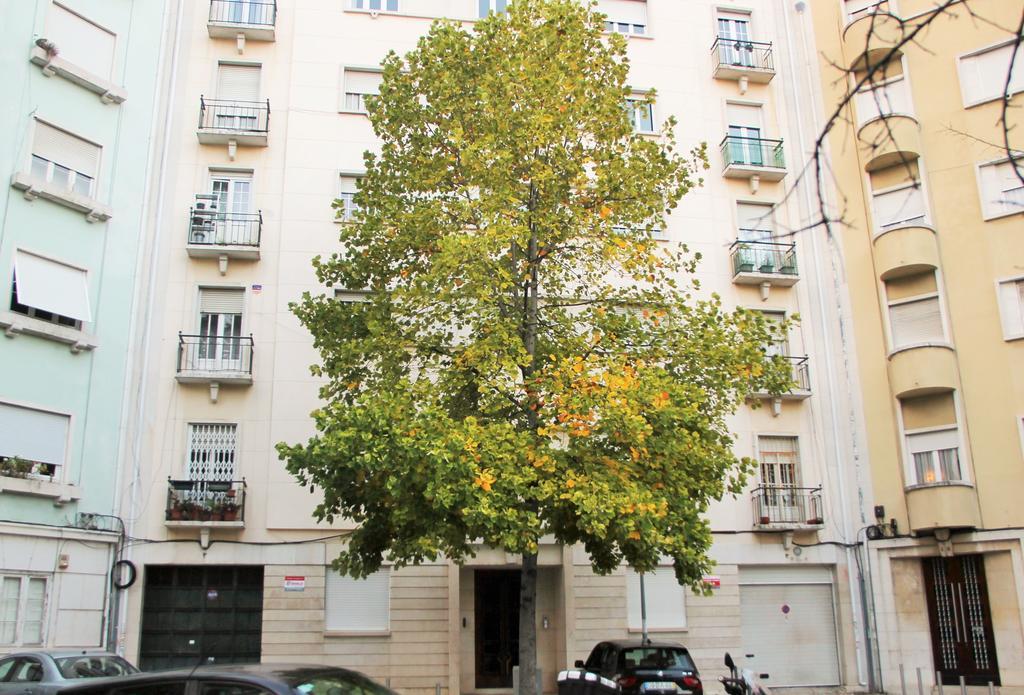 Apartmán Casa Da Praceta Lisboa Exteriér fotografie